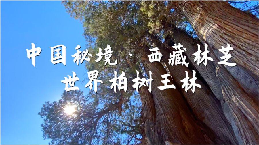 市公安局知识产权保护示范基地揭牌